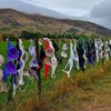 Женщины обвешали забор 100 тысячами бюстгальтеров в Новой Зеланидии (фото)