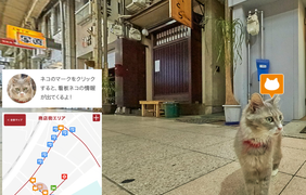 Cat Street View в Японии