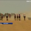В Австралії влаштували кінні перегони у пустелі