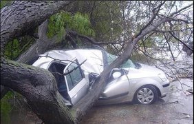 Ураган в Казани валит деревья