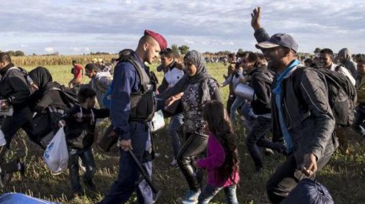 Сирийские беженцы взяли штурмом венгерскую границу