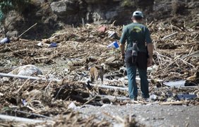 Жертв потопа в Испании разыскивают с собаками. Фото EPA.EU