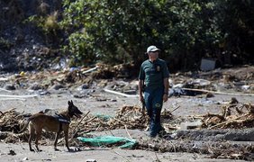Жертв потопа в Испании разыскивают с собаками. Фото EPA.EU