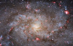 Галактика M33, также известная как галактика Треугольника, которая находится  на расстоянии в 3 млн. световых лет от Земли