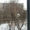 В Харькове обстреляли школу (фото)