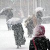 В Украине объявлено штормовое предупреждение из-за метели