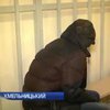 У Хмельницькому затримали студента-посібника ДНР