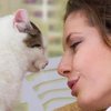 Какие болезни лечат коты и кошки