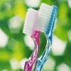 Необычное использование зубной пасты: 7 полезных способов (видео)
