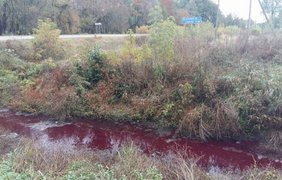 Возле Луцка нашли "кровавую" реку (фото: volyn24)