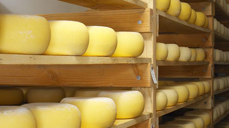 Украина теряет экспорт сыров