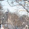 Синоптики рассказали, какой будет зима в Украине 