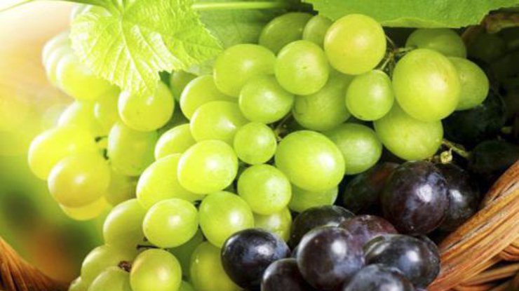 Топ-5 свойств винограда 