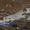 Под Киевом мусорная свалка отравляет воду в селах