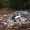 На Волыне в лесу волонтер обнаружил львовский мусор (фото) 