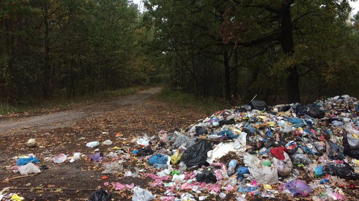 На Волыне в лесу волонтер обнаружил львовский мусор
