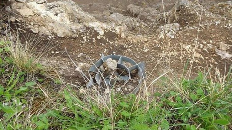 На Донбассе двое грибников подорвались на мине 