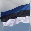 В Эстонии зарегистрируют единственного кандидата в президенты