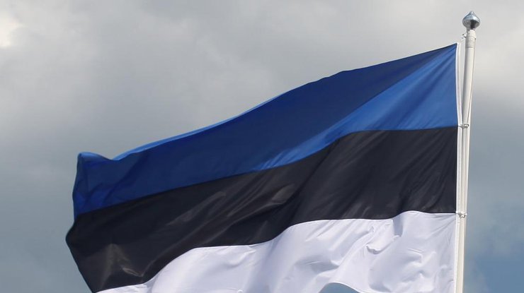 В Эстонии зарегистрируют единственного кандидата в президенты