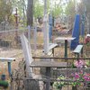 В Сумской области вандалы разгромили кладбище (фото) 