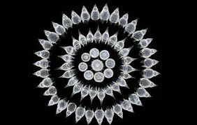 Окаменелый зоопланктон (Radiolarians). Автор Стефано Бароне