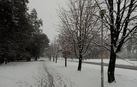 Город Славутич засыпало снегом