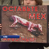 У Києві протестували проти вбивств тварин заради хутра