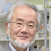 Нобелевскую премию по медицине присудили японскому профессору