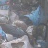 Полиция требует от мэра Глухова объяснений о ввозе в город львовского мусора