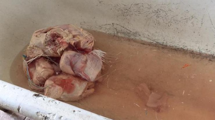 Рацион военных: мясо на полу и куры в ванной (фото: Facebook)
