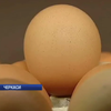 Здорожчання цін в Україні вдарило по яйцям