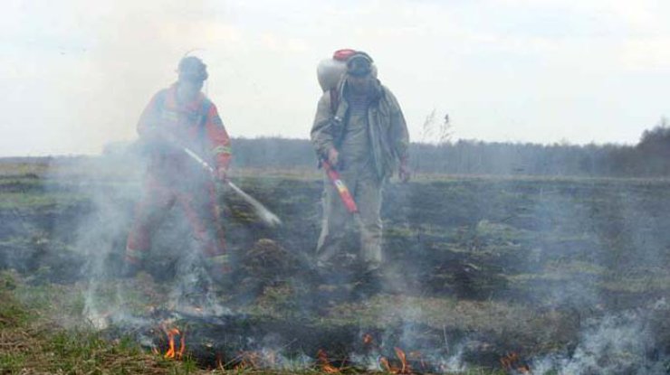 В Полтавской области горят торфяники 