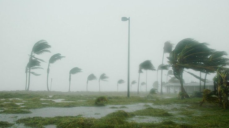 Количество жертв урагана "Мэттью" возросло почти до 500 