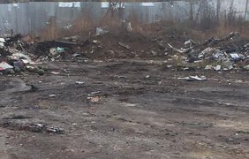 В Киеве начали убирать стихийную свалку