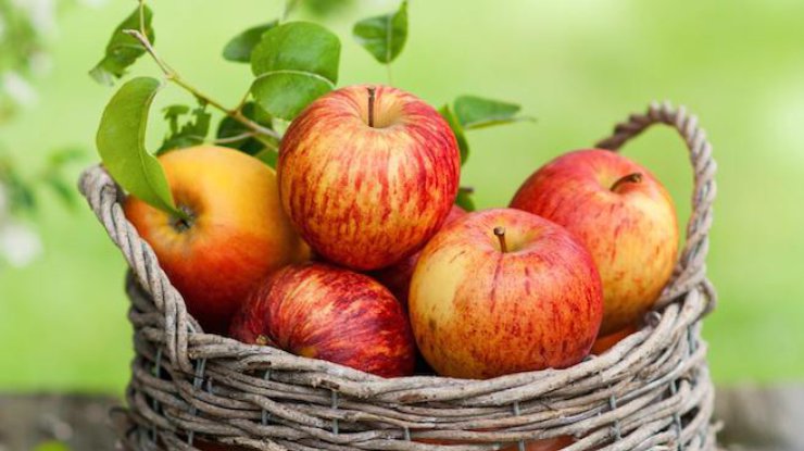 Яблоки могут быть смертельно опасны – исследование (фото: belive.ru)
