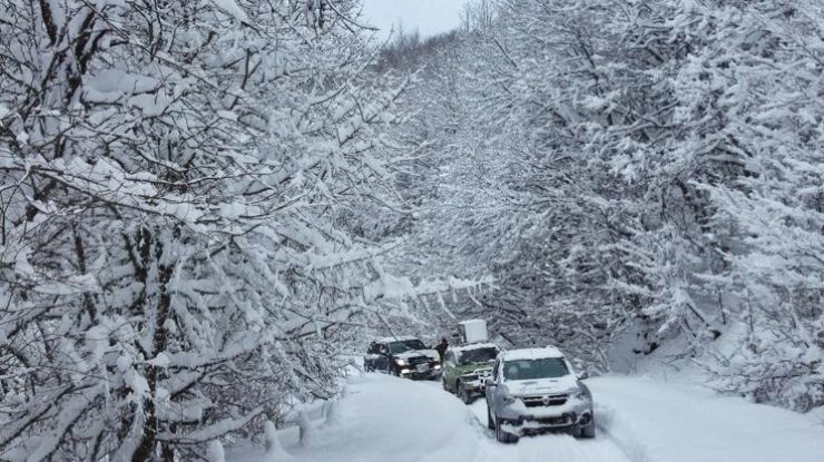 Снег в Украине: куда звонить в случае аварий на дороге (фото: auto.investigator.org.ua)