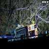У США в аварії шкільного автобуса загинули 6 дітей 