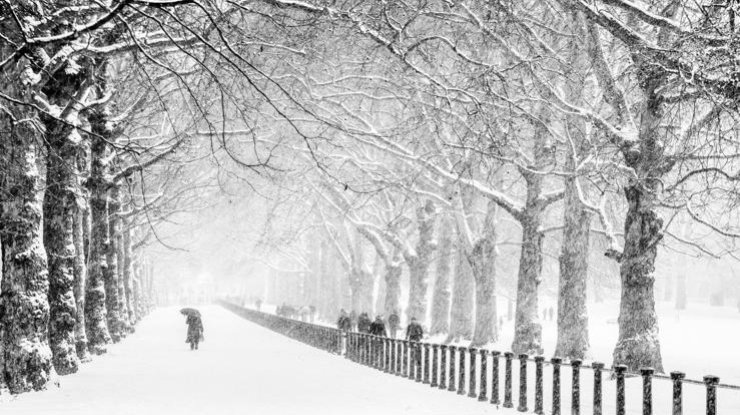 Погода на завтра: Украину окутает снег 