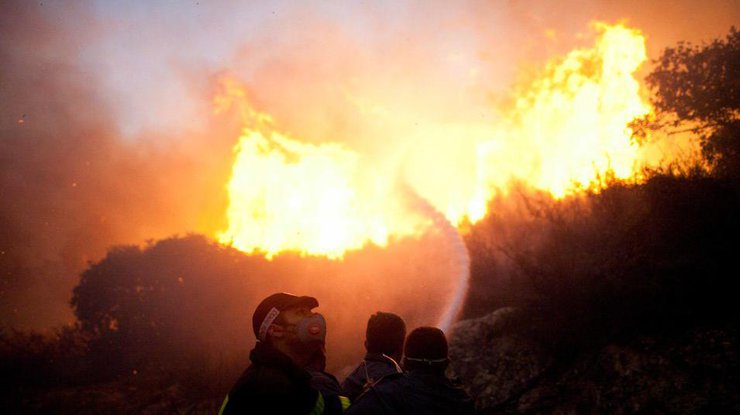 Пожар в Израиле: эвакуированы 75 тыс. человек
