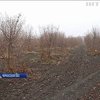 Минобороны пытается отсудить у парка "Софиевка" землю с уникальными деревьями