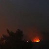 Пожары в Израиле: огонь не могут потушить пятые сутки (фото) 