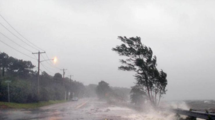 В Коста-Рике объявили траур по погибшим во время урагана "Отто" 