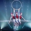 Артистка Cirque du Soleil сорвалась с высоты во время шоу (видео)