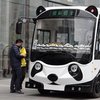 По улицам Китая пустили автобус-панду (фото)