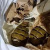На Донбассе обнаружили тайник с боеприпасами (фото)