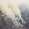Торнадо и лесные пожары в США: погибли 10 человек 