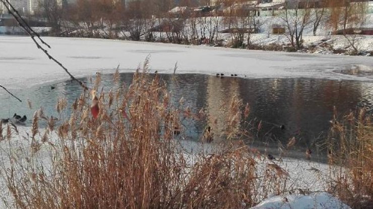 В Киеве на озере Позняки мужчина провалился под лед и утонул . Фото: byakaboo/Instagram