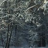 Погода на 14 декабря: в Украину идут морозы до -18