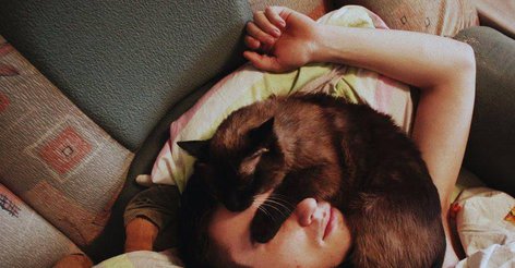 Целительные способности домашних животных: почему коты ложатся на больное место