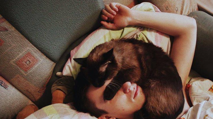 Основные причины: почему кошка спит на хозяине или рядом с ним